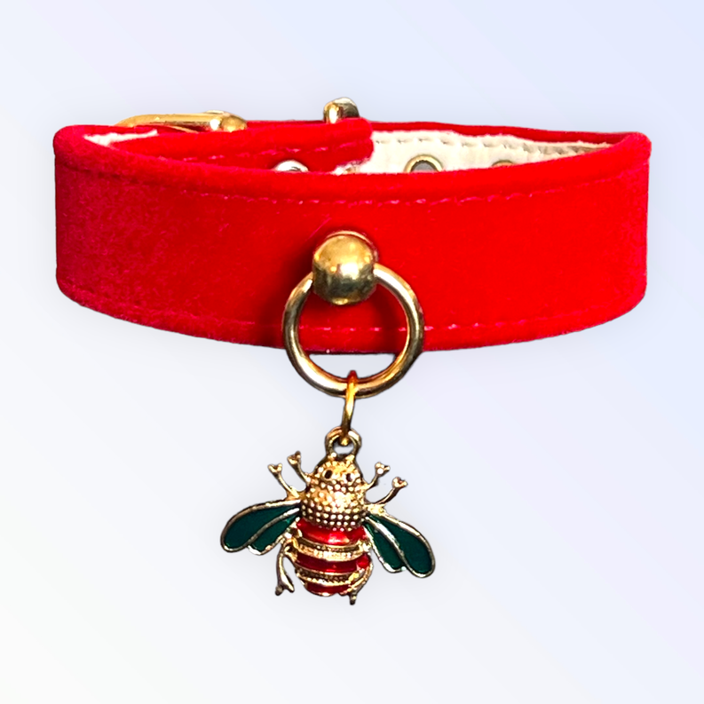 Red velvet dog collar with gold ring and dangling bee charm, red and cream lining