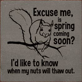 Wooden squirrel wall sign with black text and leaf illustration, reading 'Is Spring coming soon?'