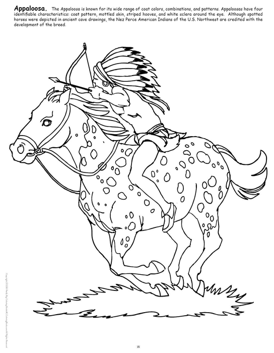 Black-and-white line drawing of a horse with rider, for coloring page