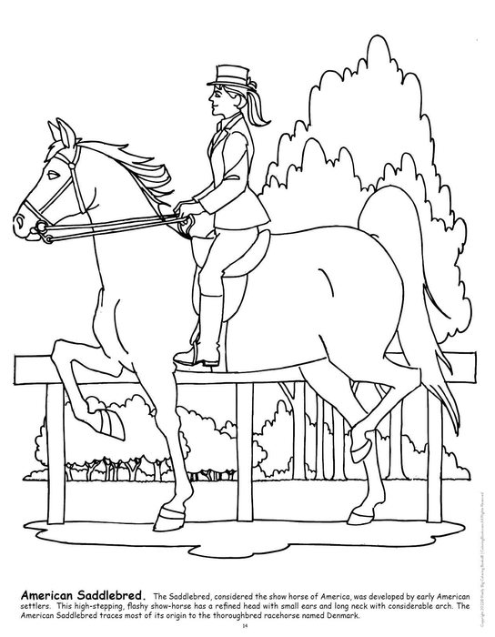 Black-and-white line drawing of a horse with rider and saddle, coloring page
