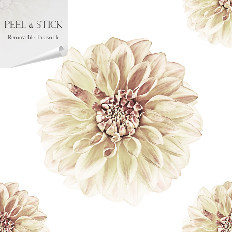 Peel-and-stick floral wallpaper panel with large cream flower design