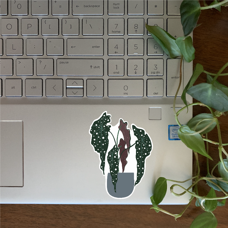Begonia Sticker - Office Supplies