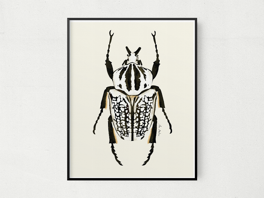Black-bordered framed beetle illustration print in black and white