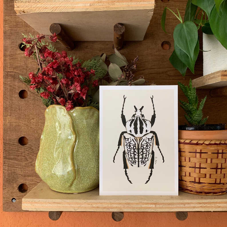 Framed black-and-white beetle illustration wall art on wooden shelf