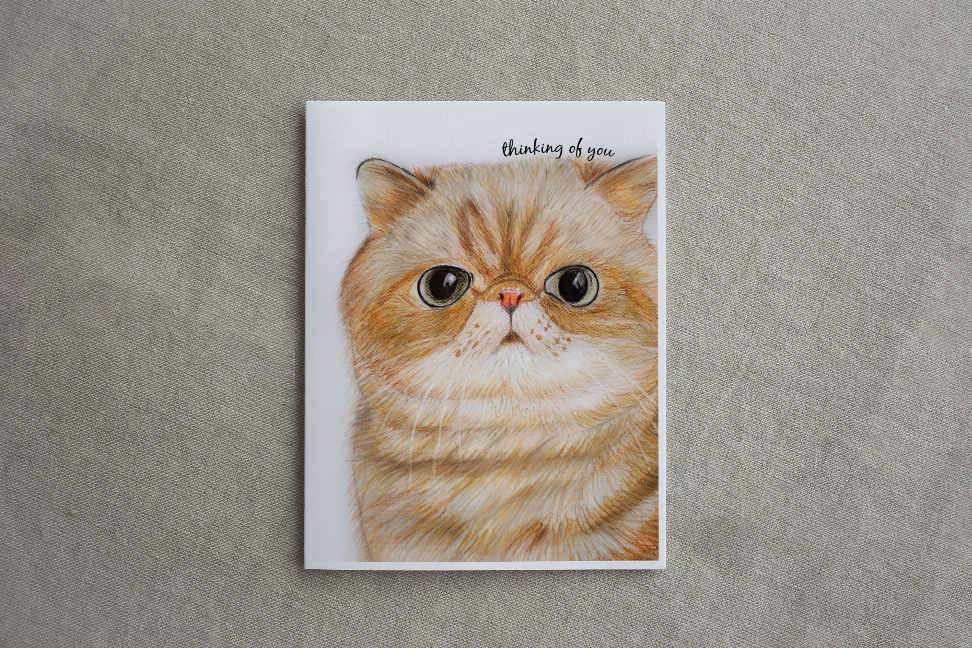 Orange tabby cat greeting card with 'thinking of you' at top and cat portrait