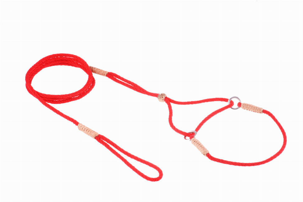 Red nylon martingale dog lead with padded tabs and metal rings