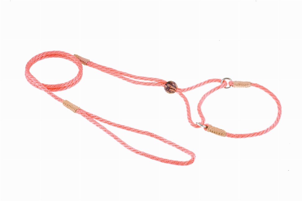 Orange nylon dog martingale lead with metal rings and two adjustable slip loops