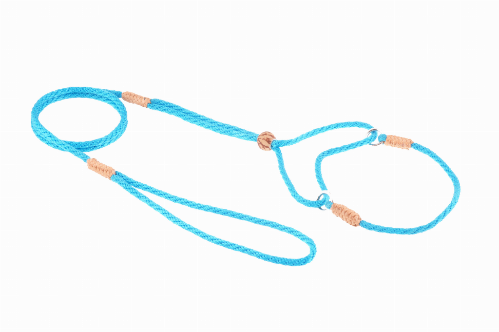 Light blue nylon martingale dog lead with sliding collar loop and matching leash