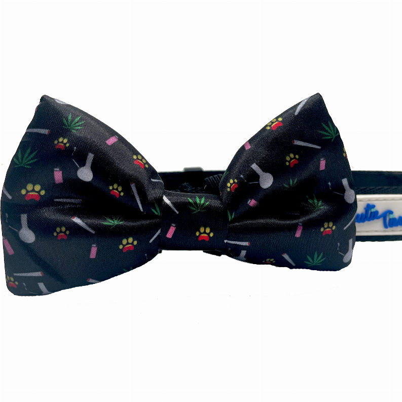 Navy dog collar bow tie with paw print, bone, and leaf pattern