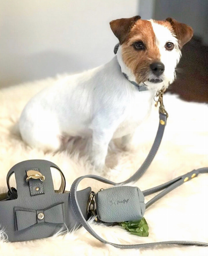 Dog Harness - Pet Supplies