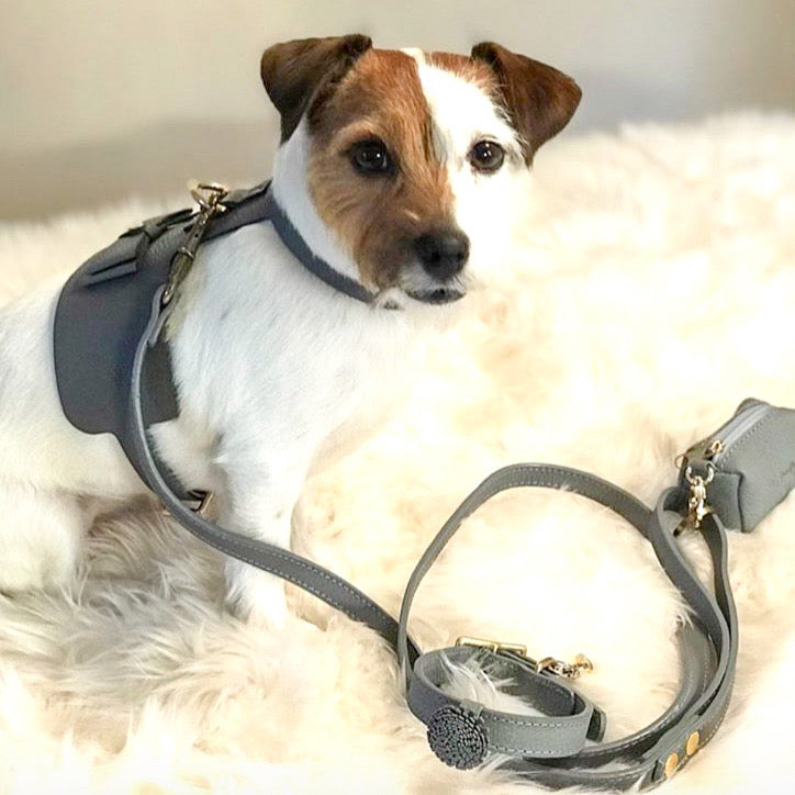 Dog Harness - Pet Supplies