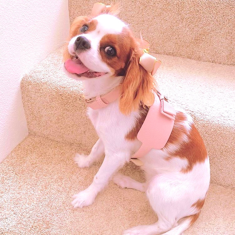 Dog Harness - Pet Supplies