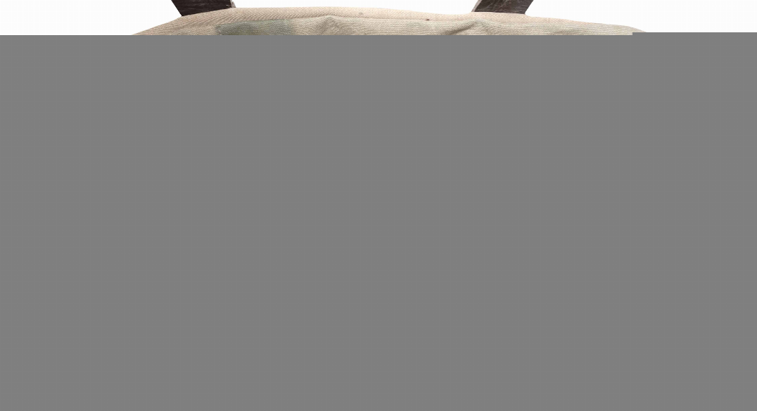 Blank gray image area