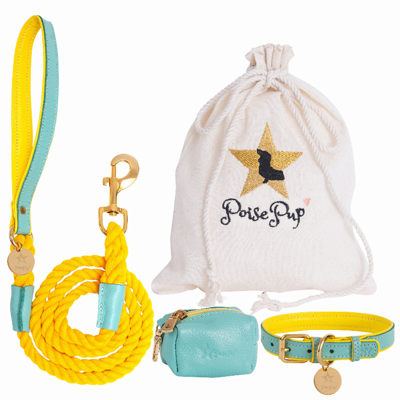 Dog Harness - Pet Supplies