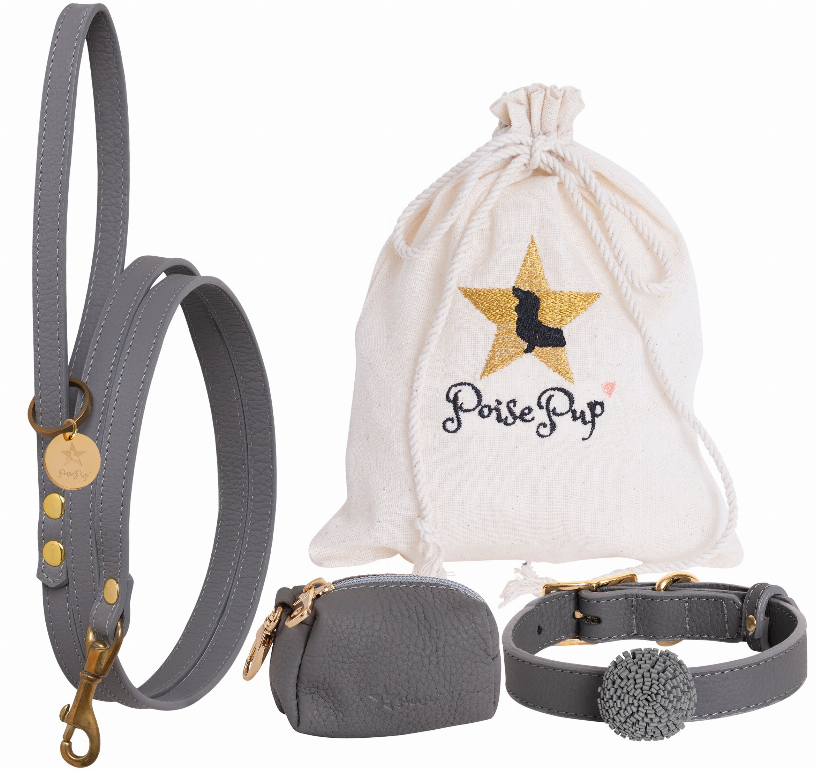 Dog Harness - Pet Supplies