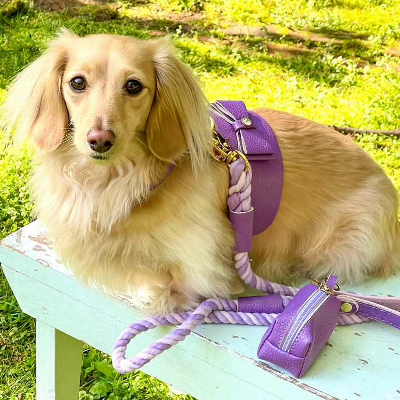 Dog Harness - Pet Supplies
