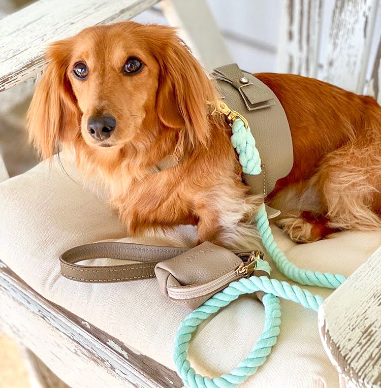 Dog Harness - Pet Supplies