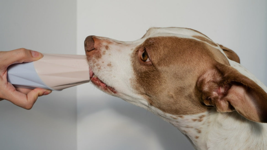 Dog licking a light blue treat filler chew toy held by a hand