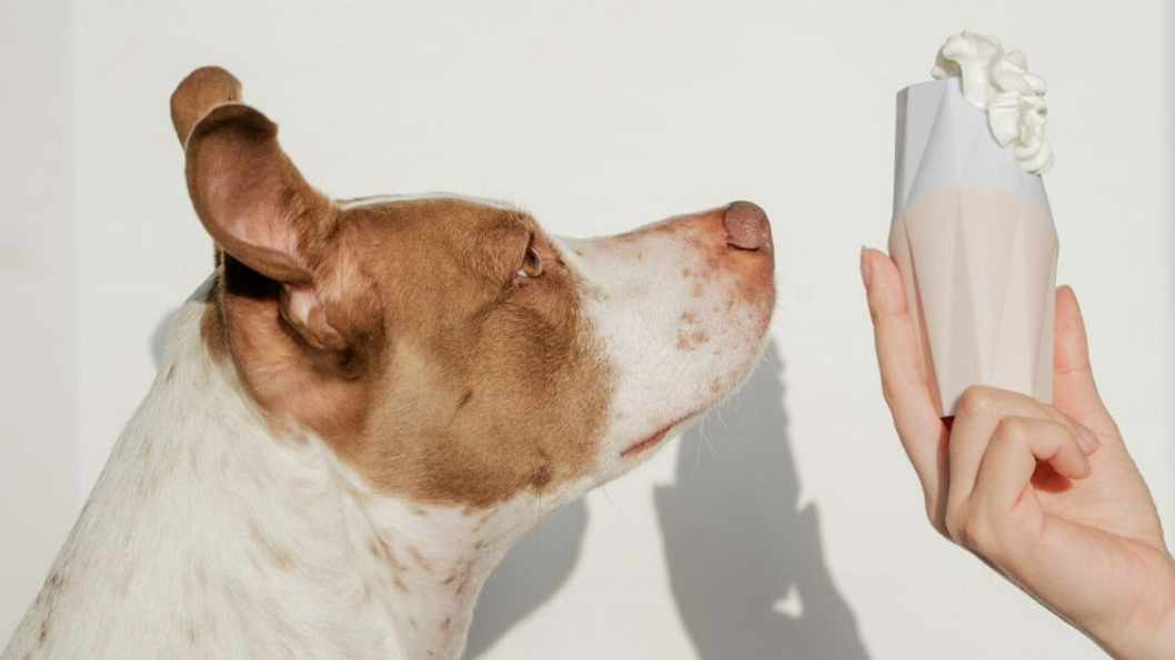 Dog licking a pale pink treat filler chew toy held toward its mouth