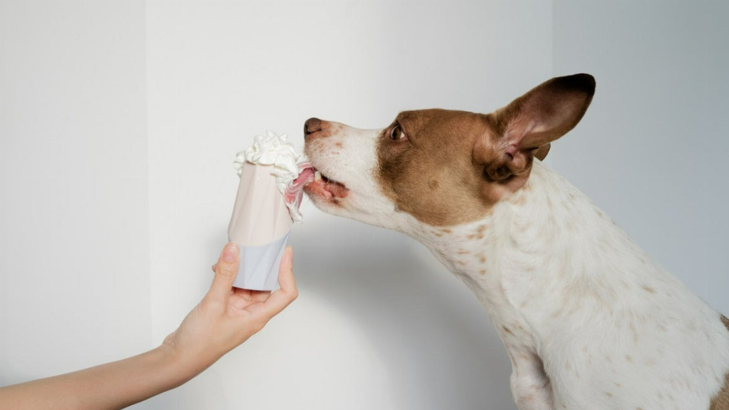 Dog licking a pale pink treat filler chew toy while a person holds it