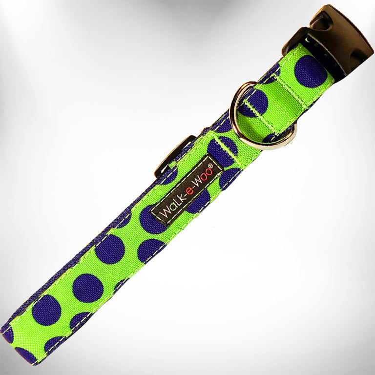 Neon green dog collar with blue polka dots, metal buckle and D-ring detail.