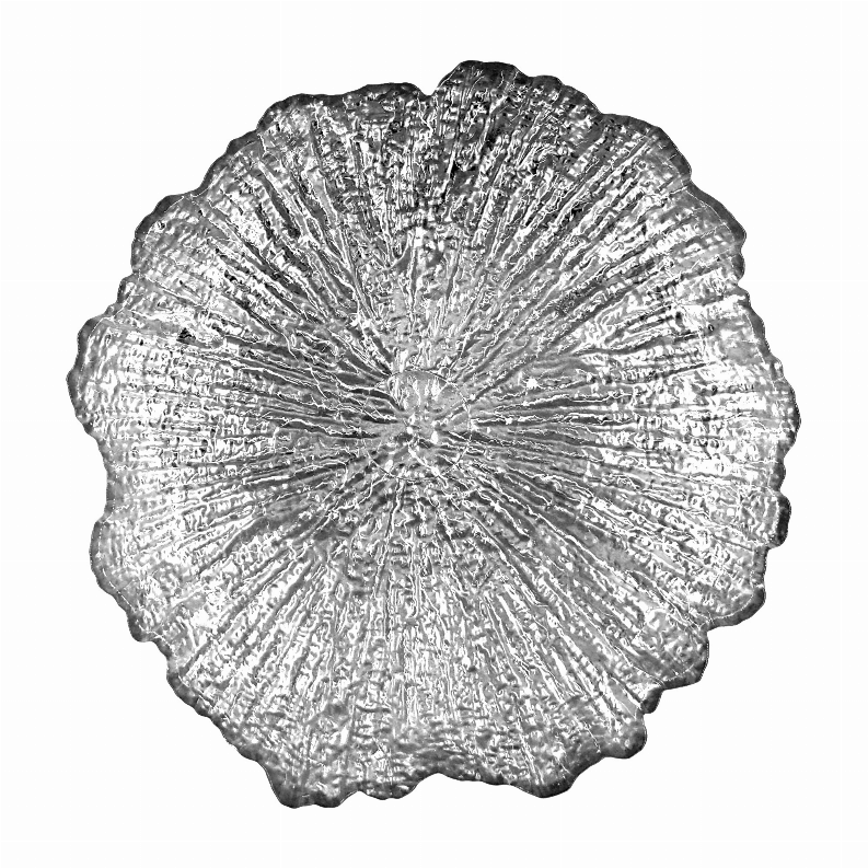 Silver glass soup plate featuring scalloped border and sparkling radiating texture, flat bowl.
