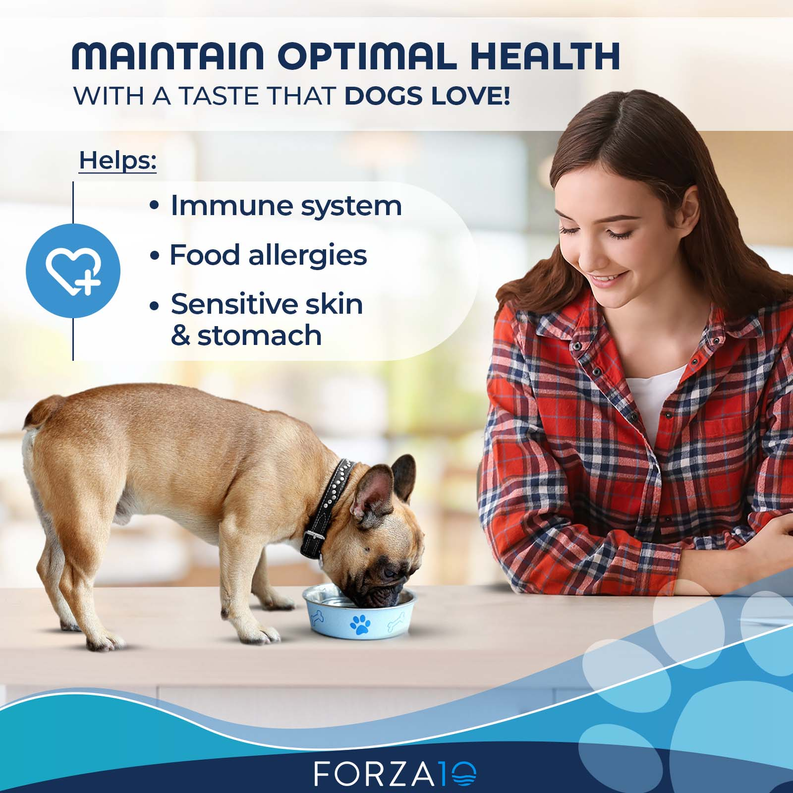 Woman feeding a dog from a bowl, canned hypoallergenic nutrition icons