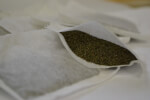 Spearmint tea bag corner with green tea granules and attached string