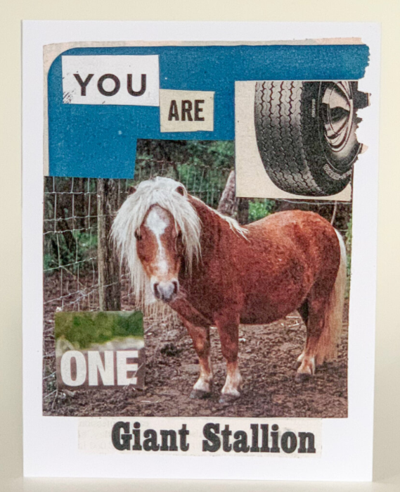 Birthday Greeting Card (Pack of 6) - You Are One Giant / 1 Pack of 6 - Apparel and Accessories