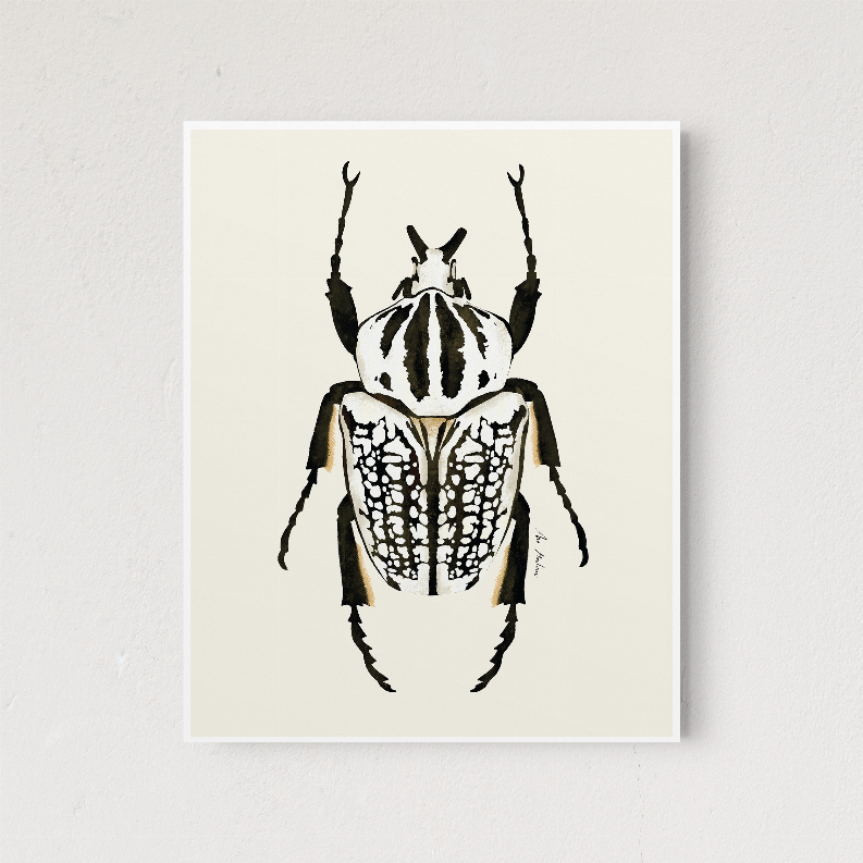Close-up framed black-and-white beetle illustration print