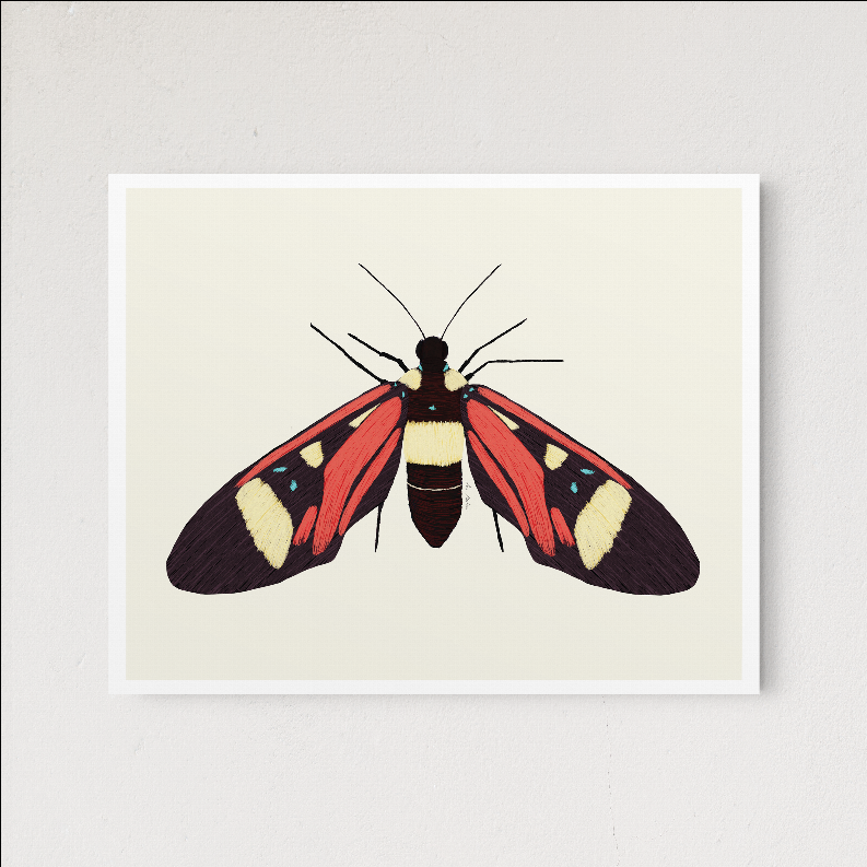 Butterflower - Home Decor