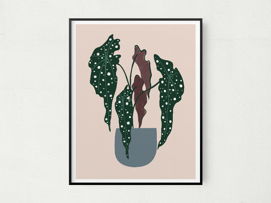 Framed polka dot begonia botanical print with dark border, centered.