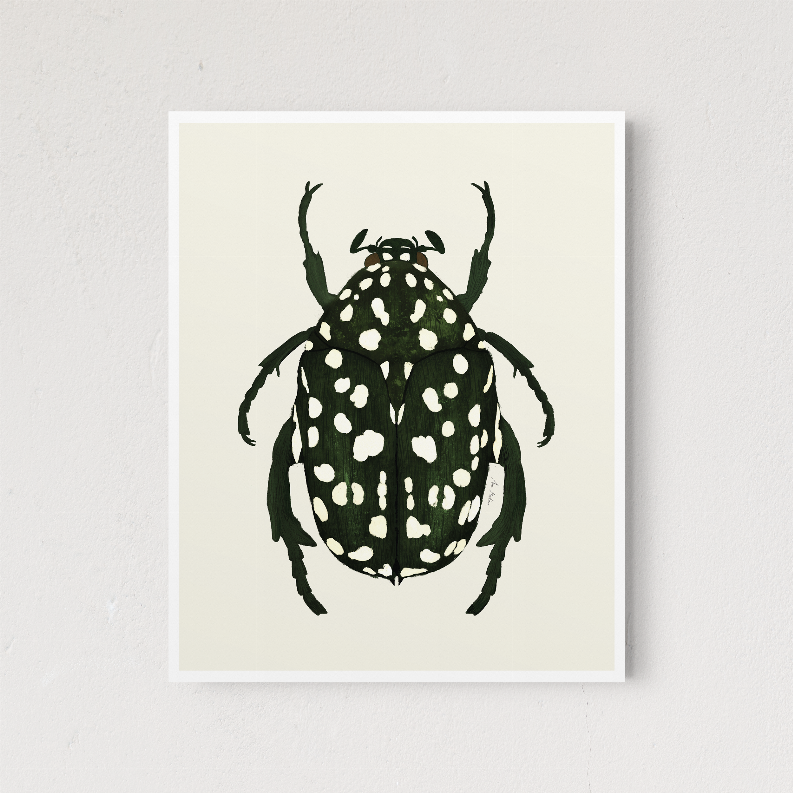 Green beetle illustration wall art print, centered square with thin white border