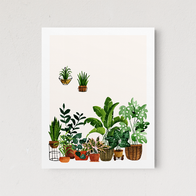 Framed botanical print with assorted potted plants in baskets and pots