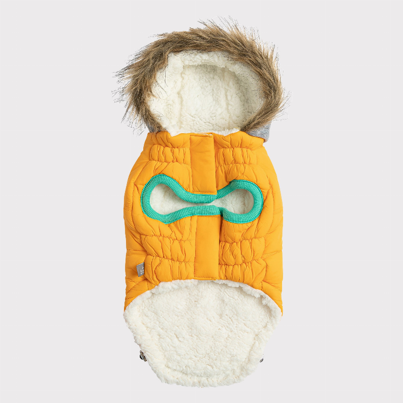 Back view of yellow pet parka with gray hood and teal-trimmed fleece lining