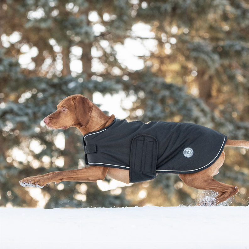 Dog wearing dark dog blanket jacket with round logo patch and front strap closure