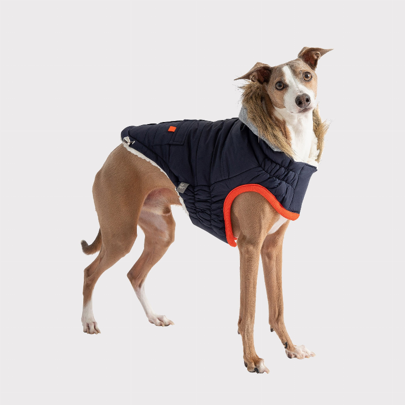 Navy quilted pet parka with gray hood, orange leg openings, and side cutout