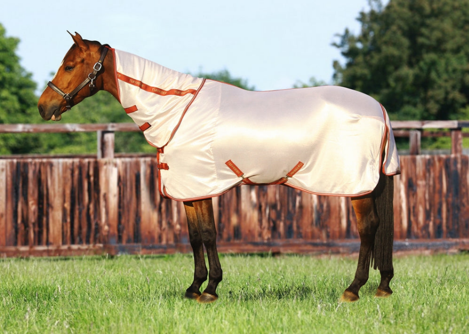 White fly sheet with orange trim and mesh combo neck for horse