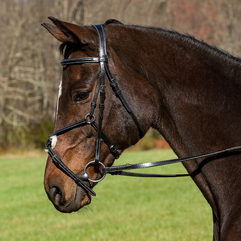 Horse bridle with raised figure-eight crown and rubber reins