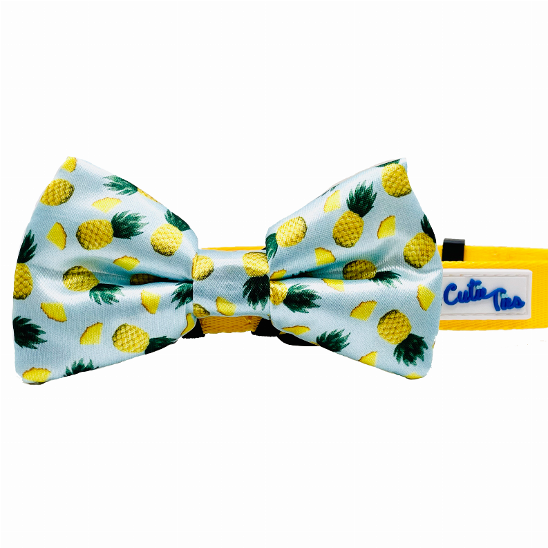 Cutie Ties Fun Design Dog Collar - Pet Supplies