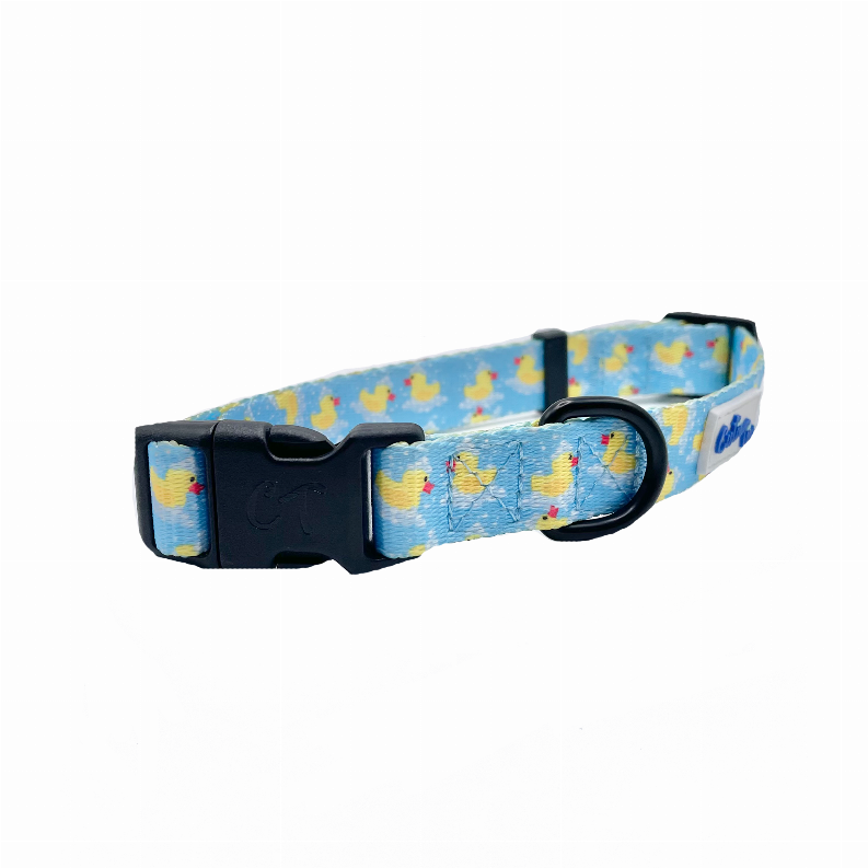 Blue duck print dog collar with black adjustable clasp and D-ring attachment