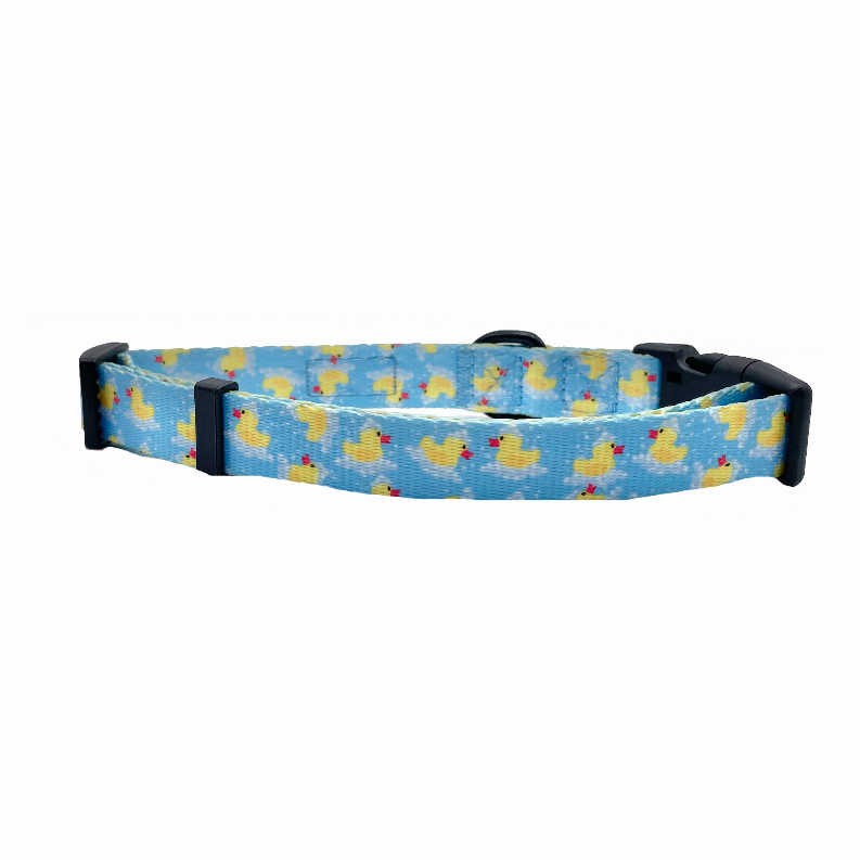 Blue duck-print dog collar laid out with black buckle and top D-ring