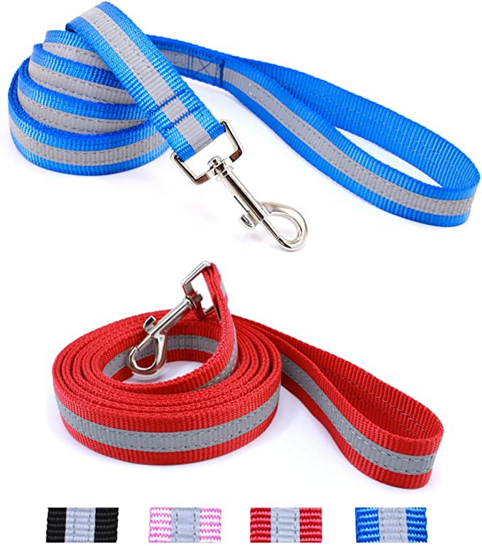 Blue and red reflective dog leashes with gray stripes and metal clasp clips