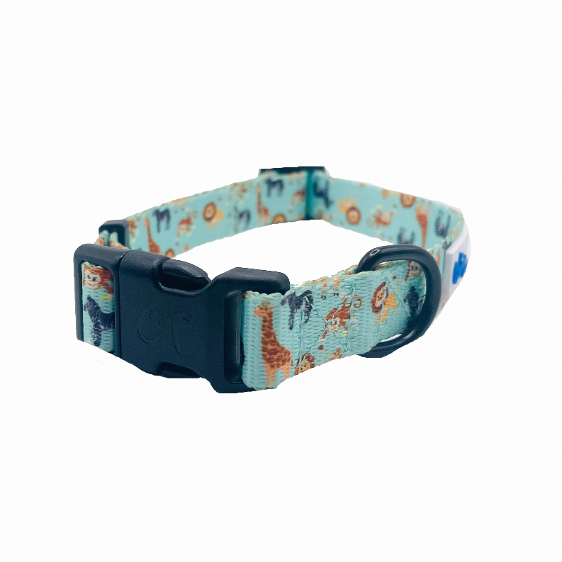 Teal dog collar with navy hardware, front view on a white background