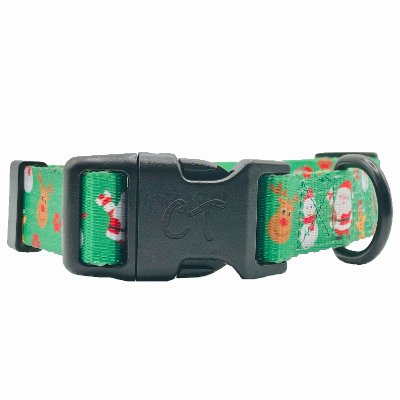 Close-up of black buckle and D-ring on green holiday character dog collar.