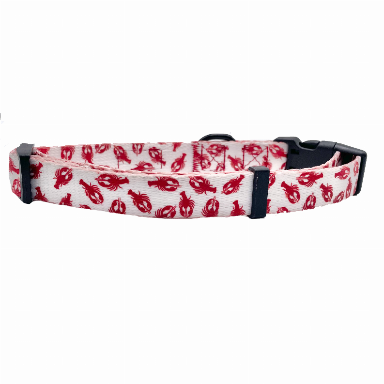 Red lobster-print dog collar with black buckle and adjustable strap