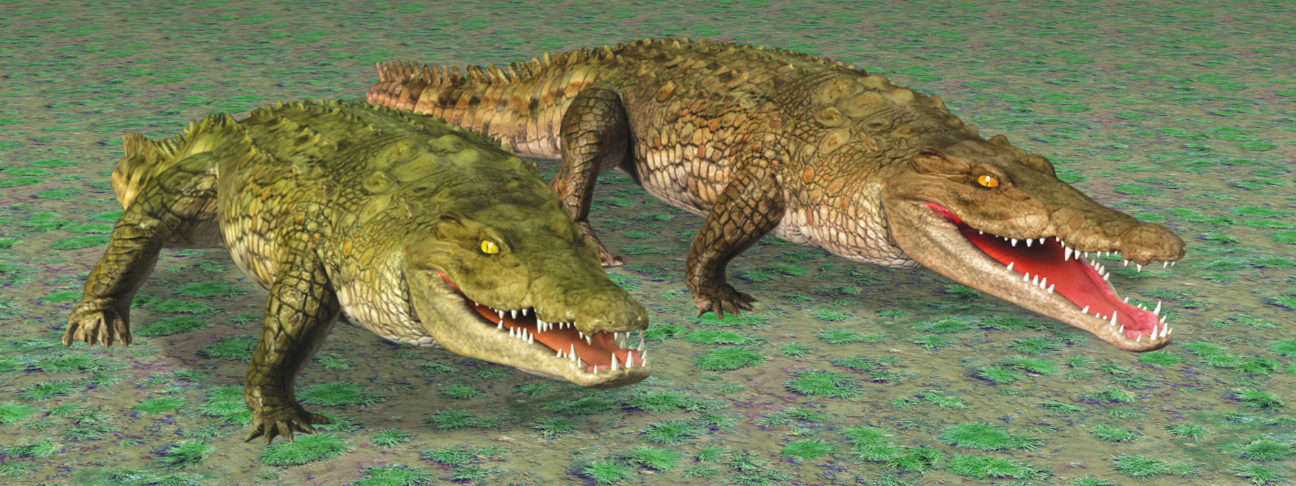 Alligator-themed motion bookmark with 6-inch ruler, two green alligator designs.