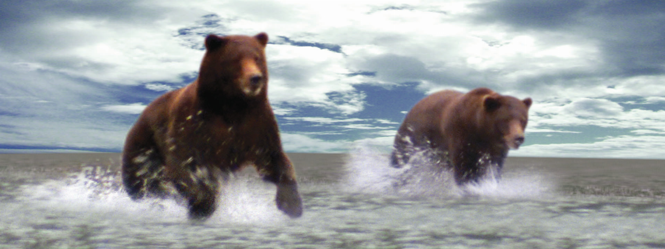 Animal art 6-inch ruler with two dark bear illustrations in ocean water splash