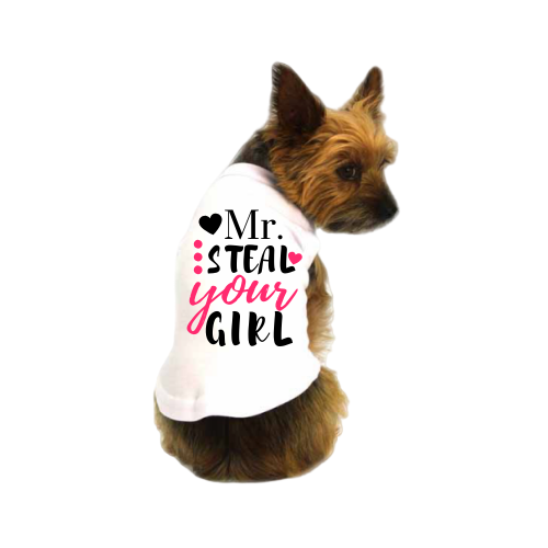 Dog T-shirt in white with heart and 'Mr. STEAL your girl' print