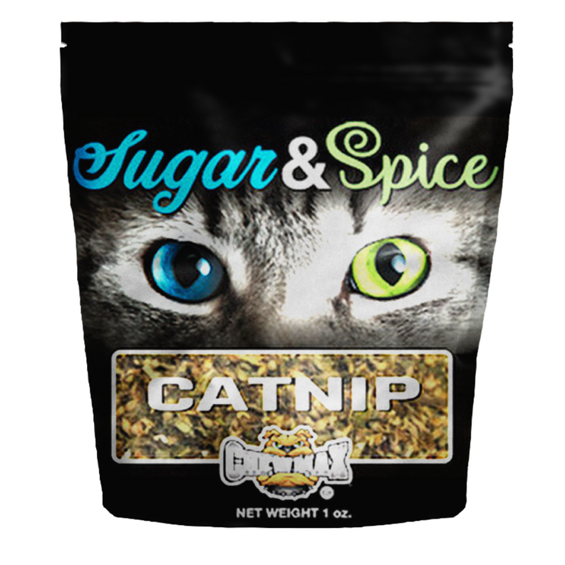 Catnip Bag - 1 oz - Treats